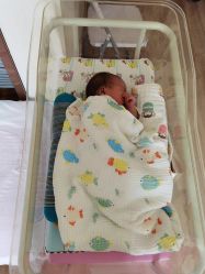 -海豚湾高端月子会所(黄浦店)