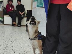 -瑞派康怡24h宠物医院·犬猫医疗中心·微创绝育(瑞景分院)