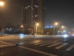 -桃花堤公园