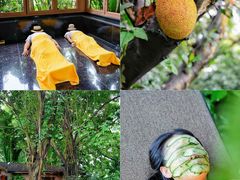 -龙山酒店温泉