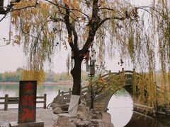 -济南大明湖景区