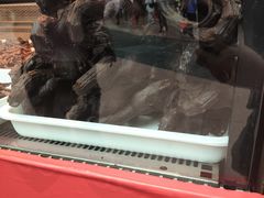 -张鸭子重庆特产卤味小吃(未来国际店)