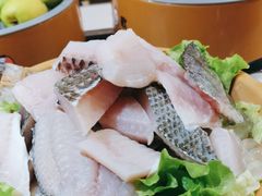 -龍歌自助小火锅(崂山丽达店)