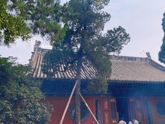 -洛阳白马寺