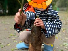 -上海佘山国家森林公园天马山园