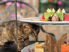 -马勒别墅·中餐厅