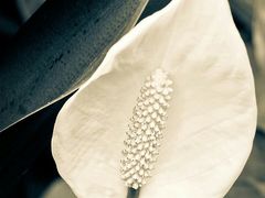 -新华百货CC Park购物广场