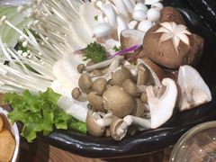 -彤德莱(奥林店)