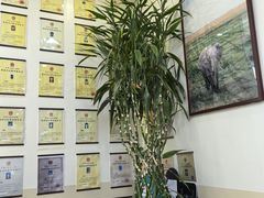 -美联众合动物医院·24h转诊中心