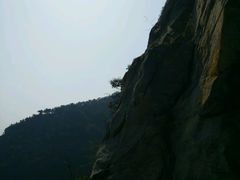 -北京鹫峰国家森林公园