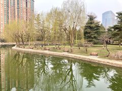 -团结湖公园