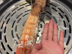 -青蓬蒸汽海鲜·深圳老字号·团建聚会(壹方城店)