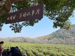 -中国茶叶博物馆(双峰馆区)