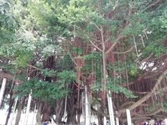 -北部湾广场