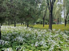 -森林公园(尖草坪区)