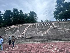 -哈尔滨北方森林动物园
