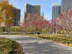 -西海子公园