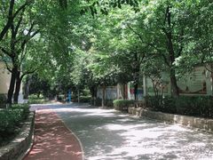 -西安市长乐公园