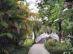 -大亚湾红树林城市湿地公园