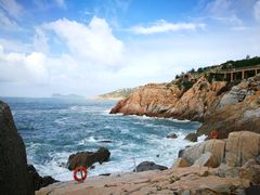 -广东惠东海龟国家级自然保护区
