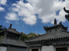 -老张烤羊(王哥庄店)