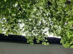 -杭州黄龙洞