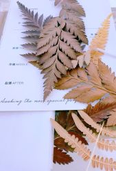 -觅香调香室(南锣鼓巷店)