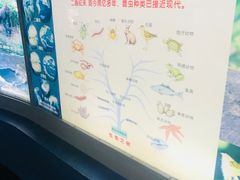 -上海昆虫博物馆