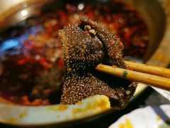 鲜毛肚-巴蜀大宅门火锅(北大街店)