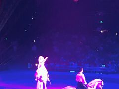 -珠海横琴长隆《卡卡虎奇遇记》