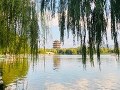 -济南大明湖景区