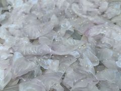 -官塘陈记鱼生·潮汕砂锅粥·牛肉火锅(潮枫路总店)