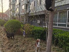 -庆丰包子铺(大红罗厂店)