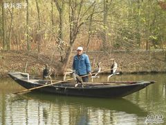 -溱湖国家湿地公园