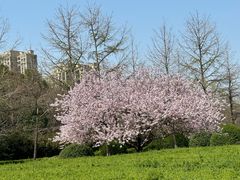 -白塘生态植物园