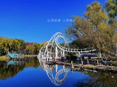 -上海共青森林公园