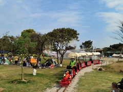 -长洲岛都市农业公园
