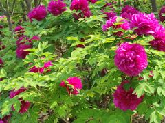 -郑州方特梦幻王国