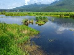 -腾冲北海湿地