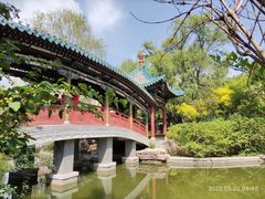 -迎泽公园
