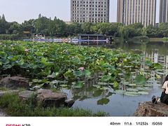 -南翔镇银翔湖公园