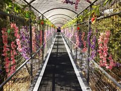 -西霞口神雕山野生动物世界