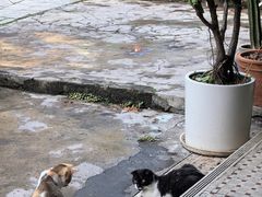 -彳亍咖啡·这里(水湾路店)
