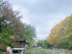 -范蠡湖公园