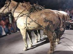 -秦始皇帝陵博物院-丽山园