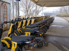 -紫颐香薰山谷景区