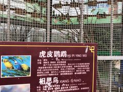 -水绘园