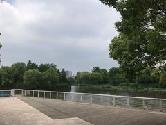 -新江湾城公园