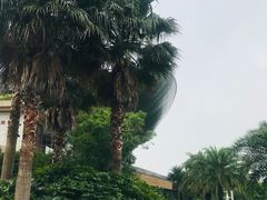 -宁波九龙湖开元度假村
