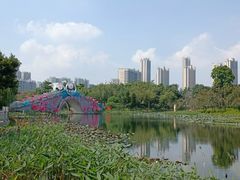 -映月湖公园
